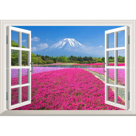 絵画風 壁紙ポスター (はがせるシール式) -窓の景色- 富士芝桜 富士山 本栖湖 富士芝桜まつり さくら 【窓仕様／トリックアート】 FJS-057MA2 (A2版 594mm×420mm)