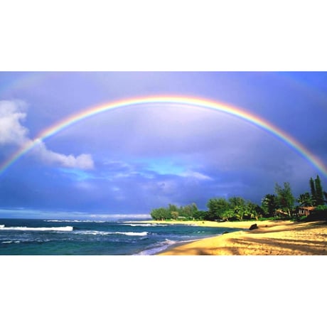 絵画風 壁紙ポスター (はがせるシール式) 南国のビーチと虹のハーモニー ハワイ 波 虹 レインボー キャラクロ SRBW-010S1 (1023mm×576mm)