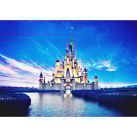 アクリル画 城と星空 アクリル画 城と星空