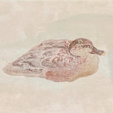 こんにちは