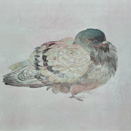 おはよう