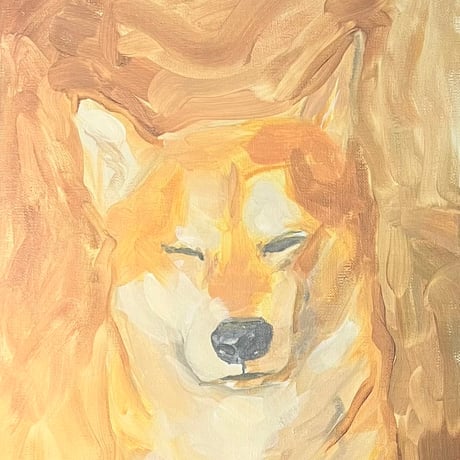 ホップ(ひよりんちの犬)