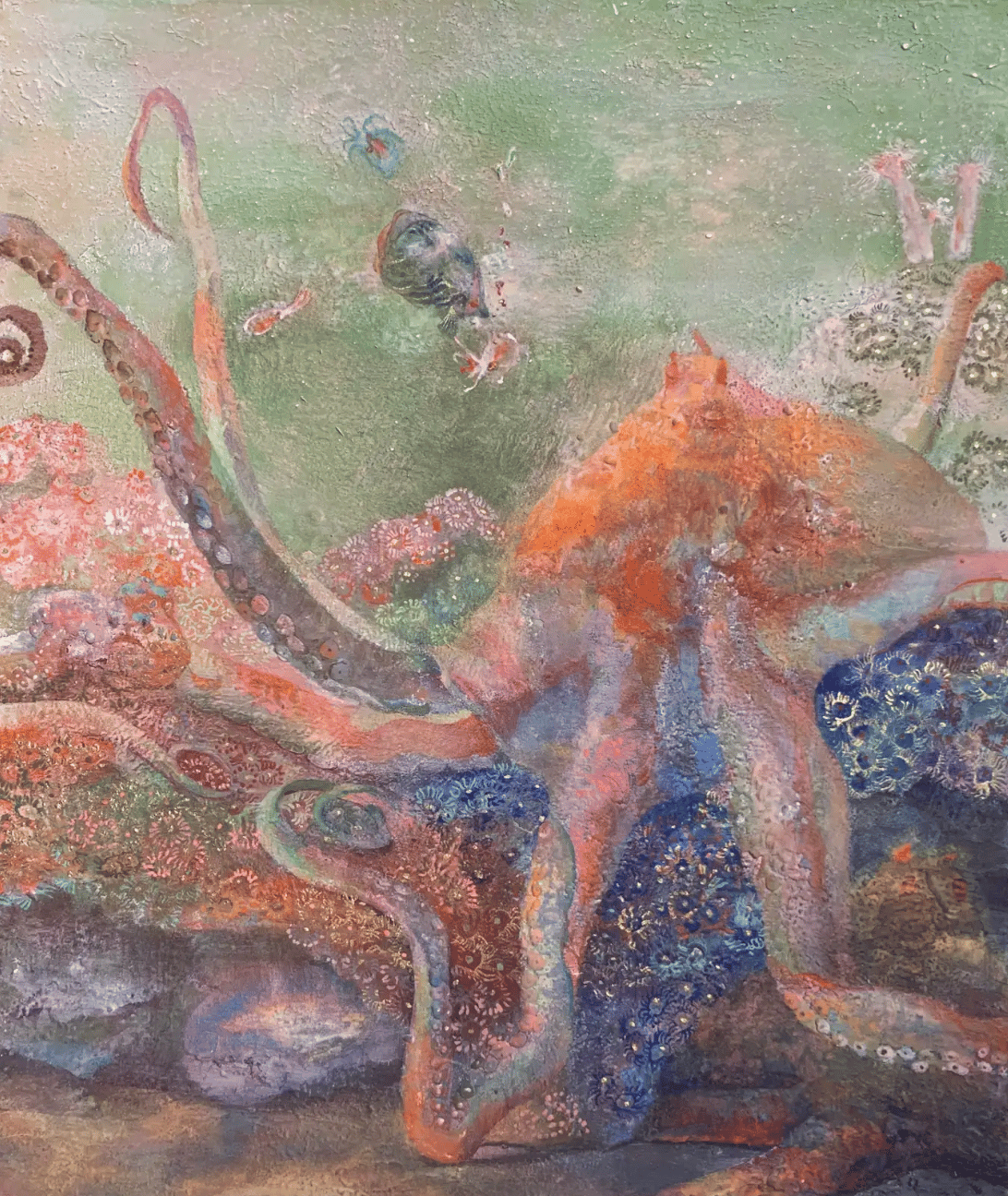 タコの庭 | 小さな美術館