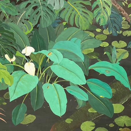 熱帯の森