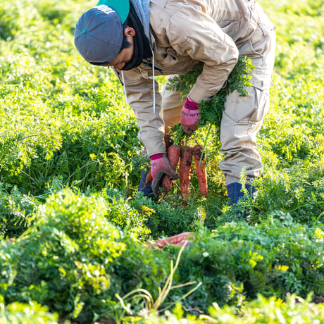 【お中元｜8月発送便】①大村湾の夏の縁側セット