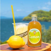 「自由に飲もう。一緒に飲もう。」ながさきクラフトレモネード3本セット