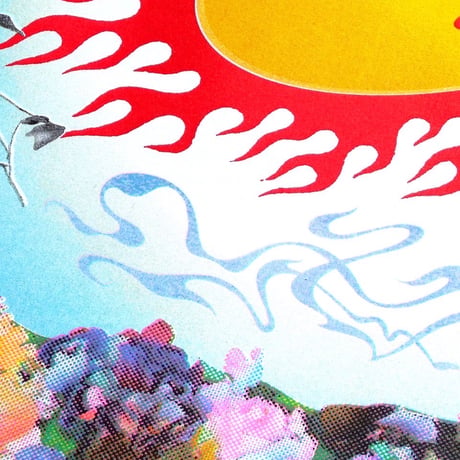 BOX GARDEN RISO POSTER