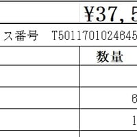 PカラーEX【代引き・後払い決済対応不可】