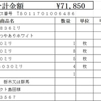 リブナミ　0.35ホワイト 切板【群馬県伊勢崎市又は栃木県　平日昼間商社にお引き取り】【受注生産品の為約2週間程】【代引き・後払い決済対応不可】