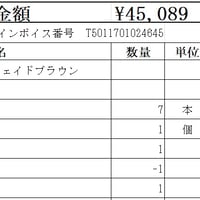 アイジー　ガルテクト　棟　【厚木市　平日昼間お引き取り】【代引き・後払い決済対応不可】