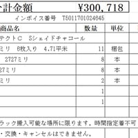 【東京都大田区配送】アイジーガルテクト 　Sシェイドチャコール【代引き・後払い決済対応不可】