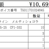 アイジー　追加分　【神奈川県　配送】【代引き・後払い決済対応不可】