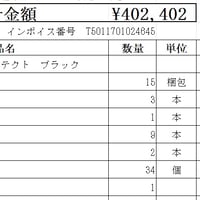 アイジー　ガルテクト　【アイジーお引き取り】【代引き・後払い決済対応不可】