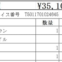 ガルテクト棟＋コイル２０ｍ　【お引き取り】【代引き・後払い決済対応不可】