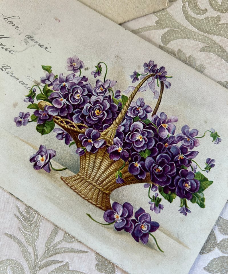 アンティークポストカード スミレの花籠 フラワーバスケット violette 