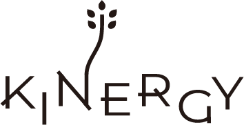KINERGY STORE