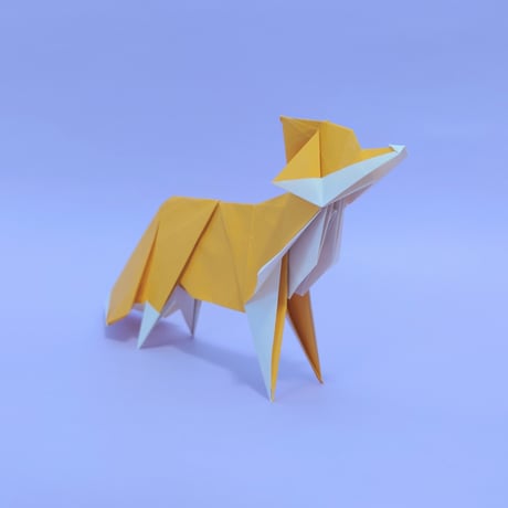 狐