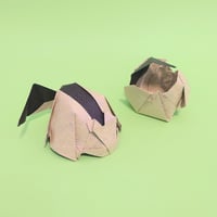 ヤマネ
