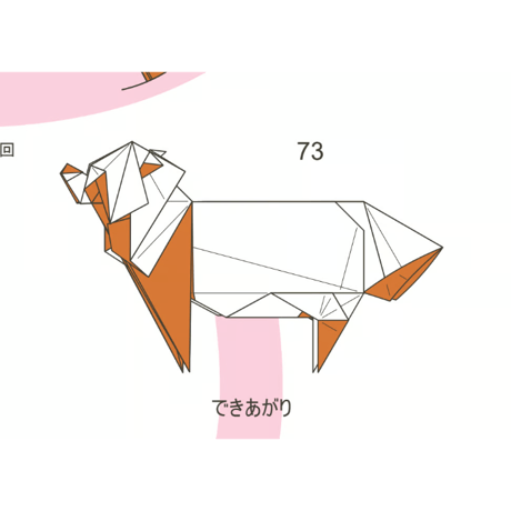 狸
