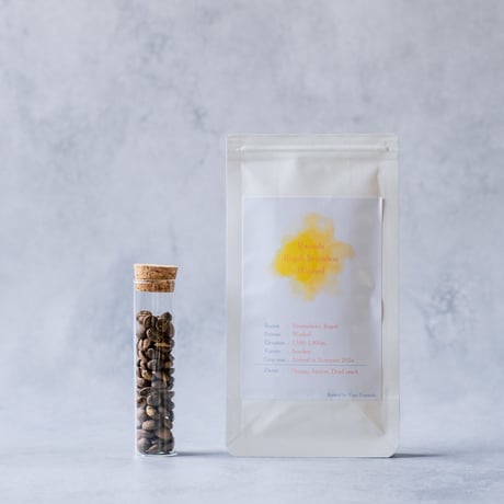 【定期便 3種】 エントリープラン 30g×3種
