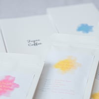 【定期便 6種】 プレミアムプラン 100g×6種