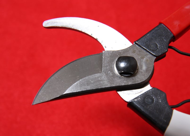 越路一番 剪定鋏 200㎜ | 道具屋 凛