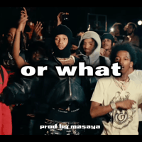 YZERR x MIKADO Type Beat "or what" | (41)Kyle Richh x NLE choppa x NY Jersey drill x Hoodtrap