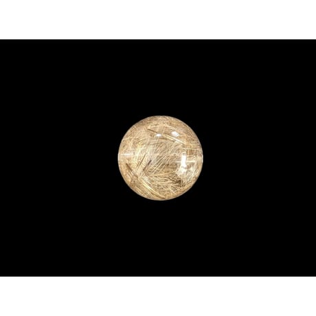 SALE | WISTERIA-KYOKO