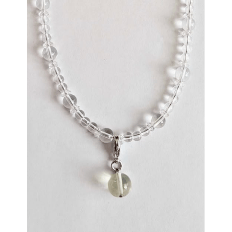 CATEGORY リビアングラス | WISTERIA-KYOKO