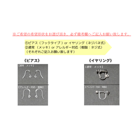 バイオタイトインクォーツピアス