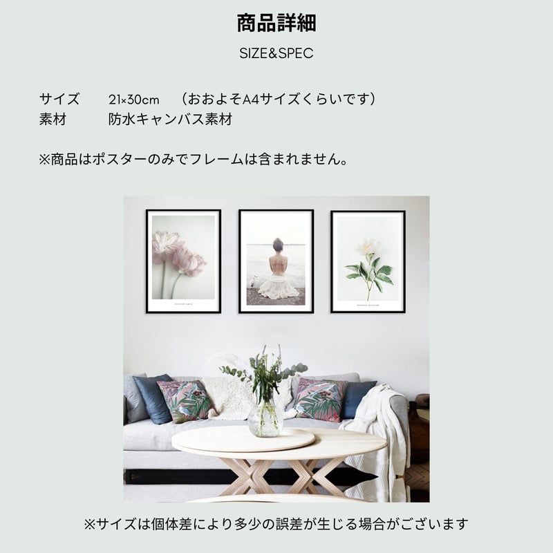 3枚セット アート ポスター 21×30cm フレームなし 写真 人物 花 植物