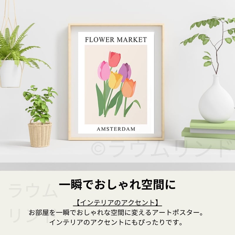 ポスター　横　特寸法　チューリップ　赤い花　額装仕上げ品 ポスター横特寸法チューリップ赤い花額装仕上げ品