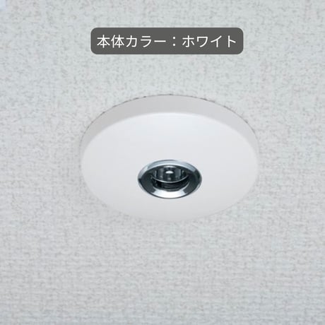 【2本セット】室内物干し ホスクリーン SPC｜天井取付・高さ調整・着脱式｜省スペースでスマートに部屋干し