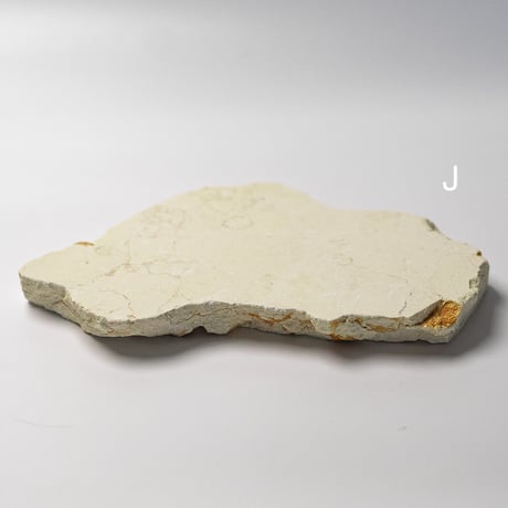 stone plate  -crema marfil-