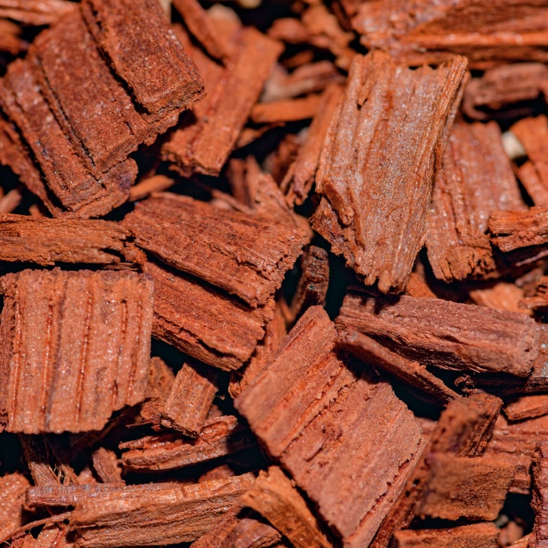 mosquito repelling incense 15sticks (蚊取り線香) | s