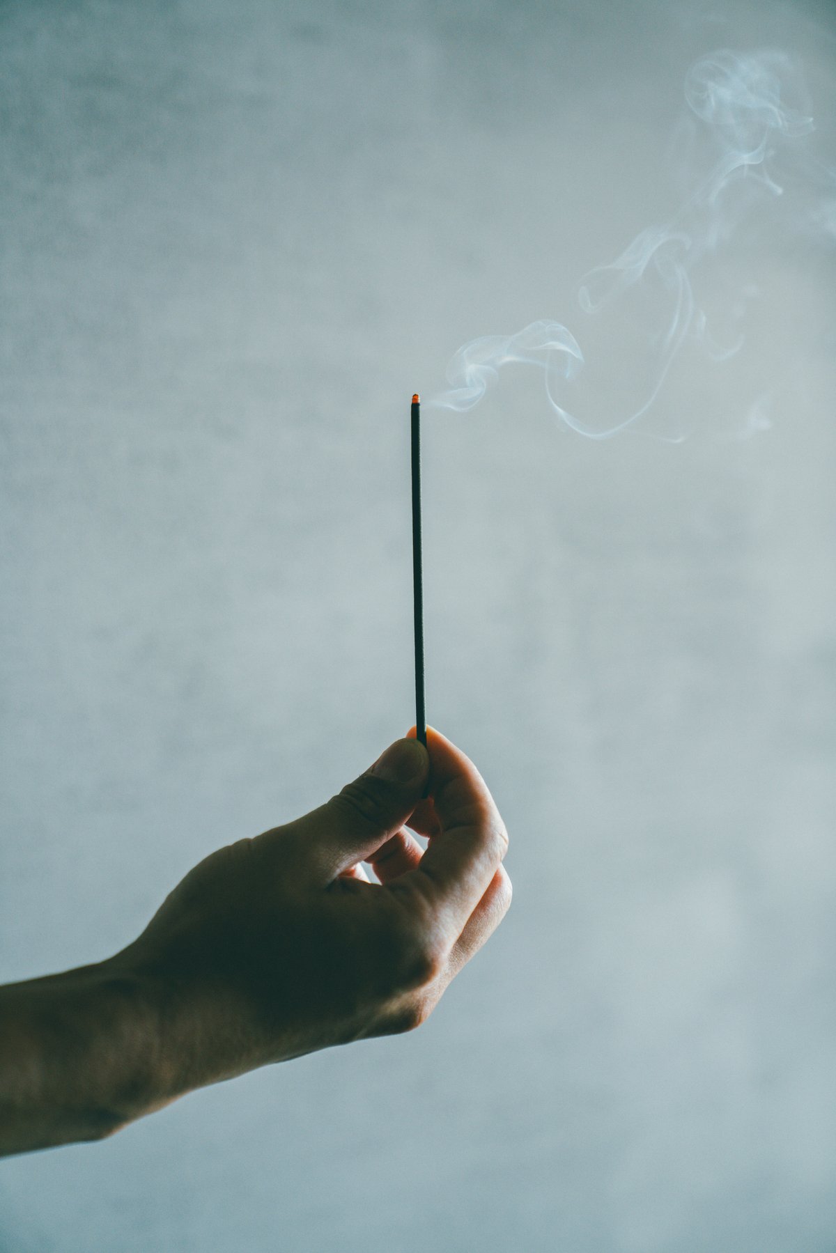 Entyce 食欲刺激剤 30 mL 2本セット 犬用 食欲増進剤 entyce 30ml