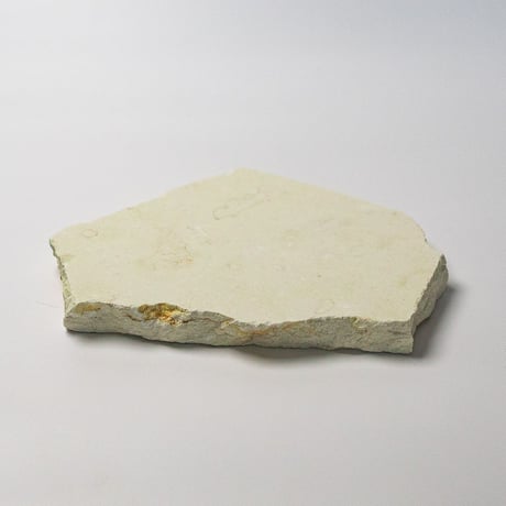 stone plate  -crema marfil-