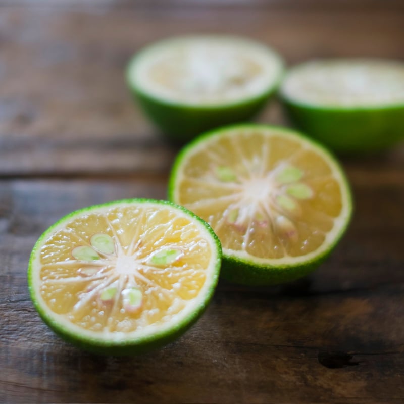 fragrance incense -creamy fig- | studio siki