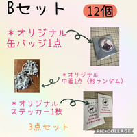 Bセット専用ページ【でぶごんさん】