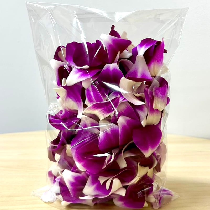 デンファレフラワーシャワー 冷蔵 | orchid flower