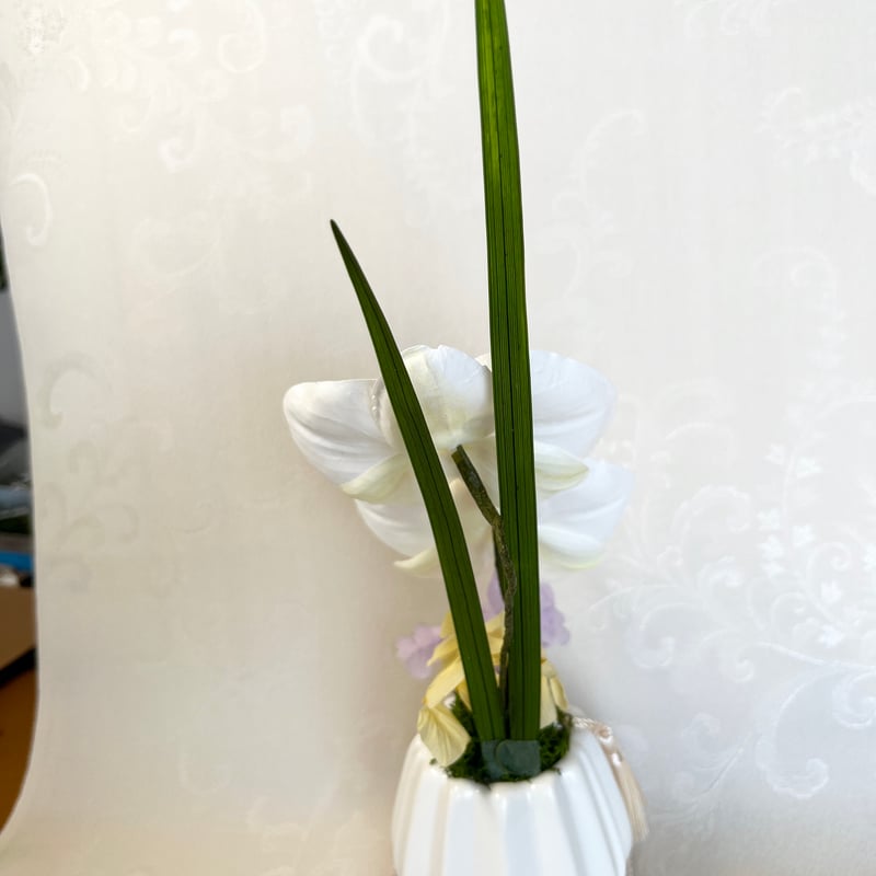 胡蝶蘭のアレンジ A1-04 （花器敷物プレゼント） | flower shop fuka