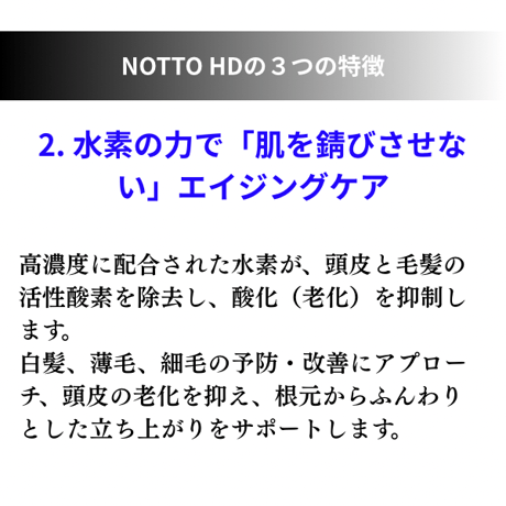 NOTTO HD No.2 トリートメント 300g【オンライン・正規品】ノット（クーポン利用不可）
