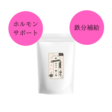 STORES 植物の検索結果