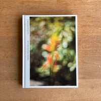 TERRI WEIFENBACH｜CLOUD PHYSICS