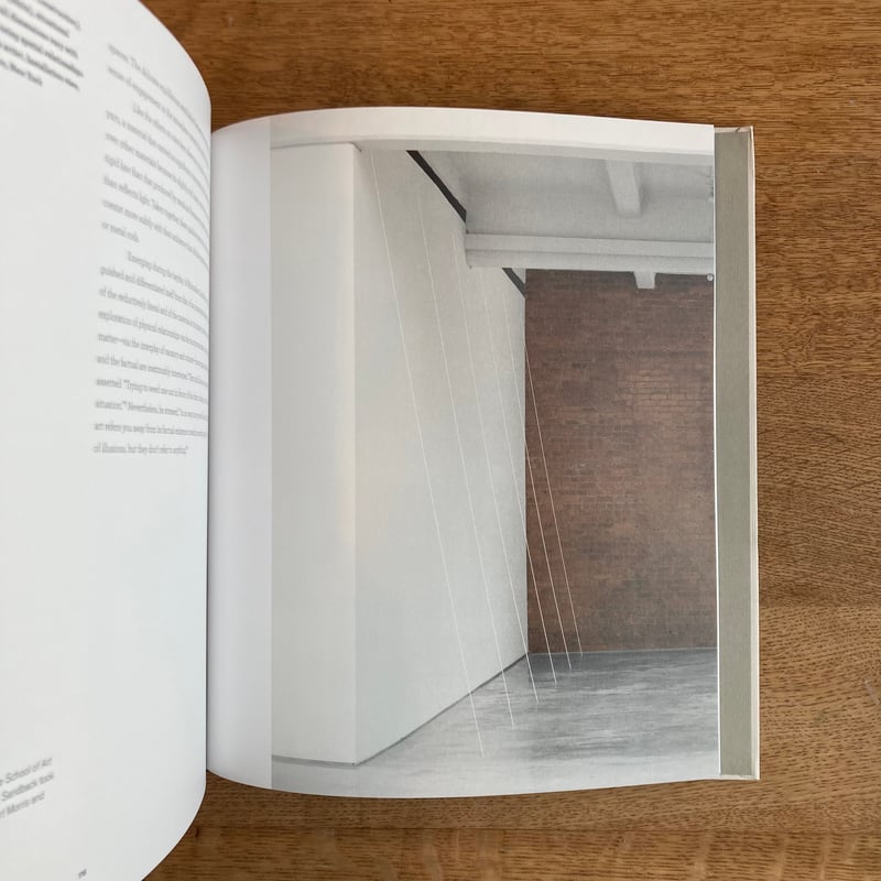 Interaction|Fifty Years of Fred Sandback and Di Interaction|Fifty Years of Fred Sandback and Di
