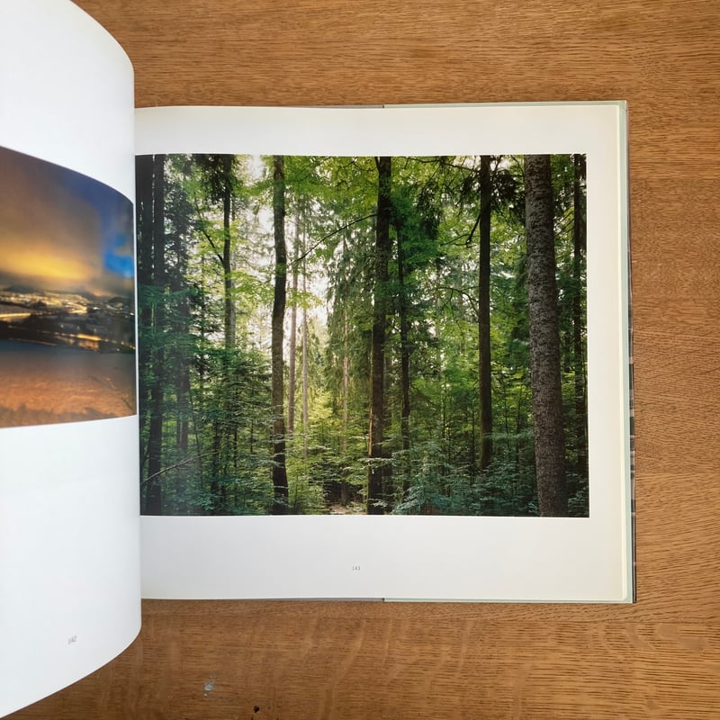 THOMAS STRUTH | WHITEGREEN GALLERY