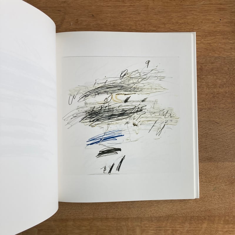 Cy Twombly サイ・トゥオンブリー 図録 Cy Twombly | サイ・トゥオンブリー Glenstone Foundation