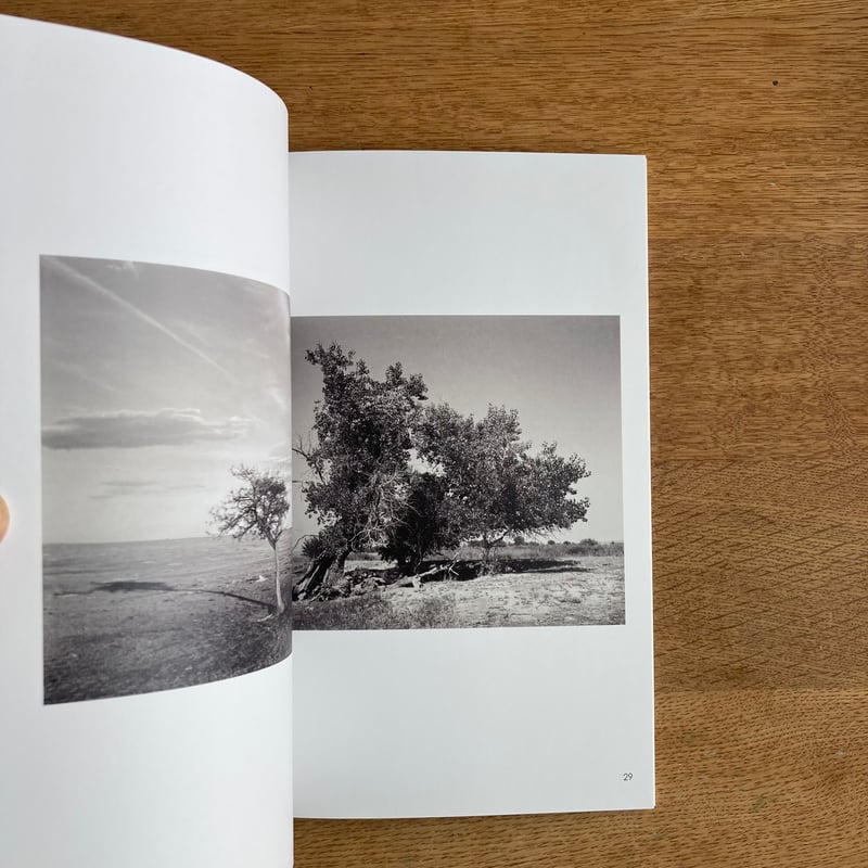 Terri Weifenbach／William Wylie｜As the Crow Flie