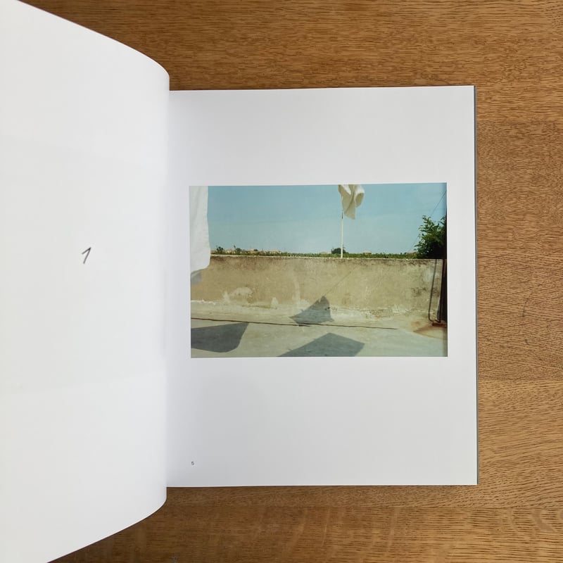 GUIDO GUIDI｜TRA L'ALTRO, 1976-81 | WHITEGREEN G