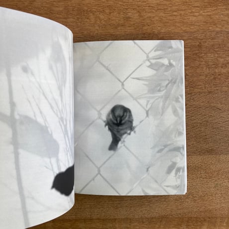 TERRI WEIFENBACH｜Centers of Gravity